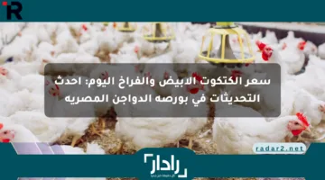 سعر الكتكوت الأبيض والفراخ اليوم: أحدث التحديثات في بورصة الدواجن المصرية